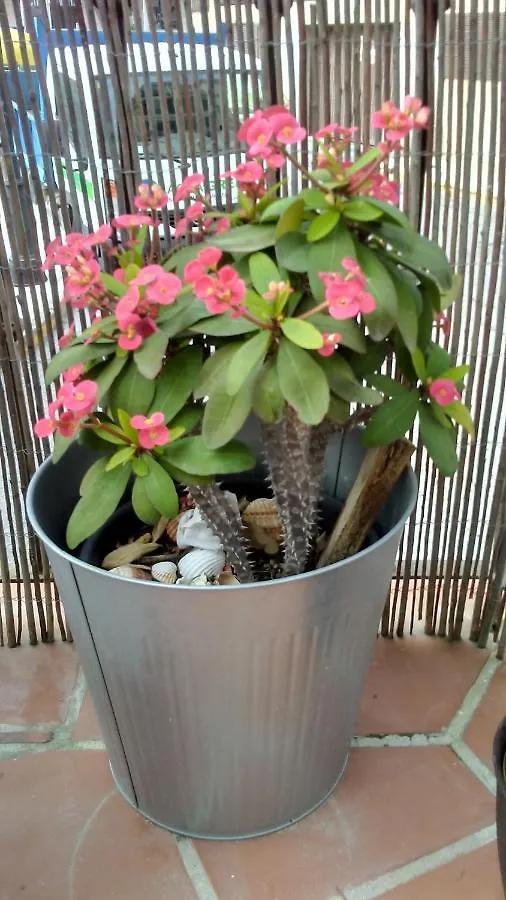 Apartamento Turístico FlorHouse San Luis de Sabinillas