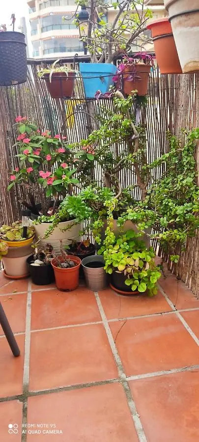 Apartamento Turístico FlorHouse San Luis de Sabinillas